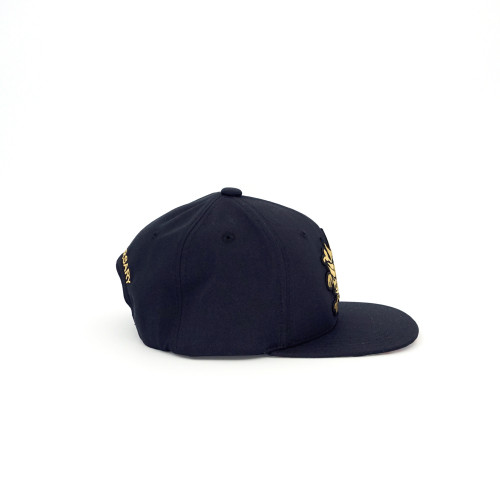 One Piece Cap - Thousand Sunny (Black)